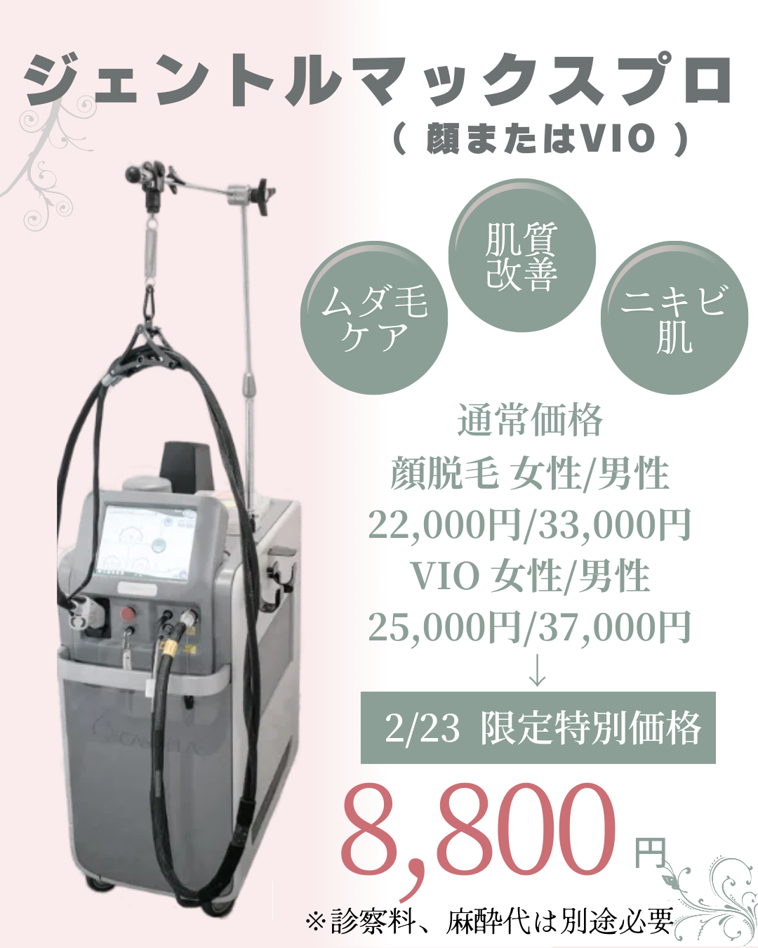 ジェントルマックスプロ