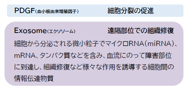 幹細胞培養上清液 説明