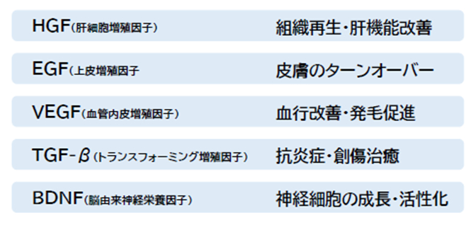 幹細胞培養上清液 説明